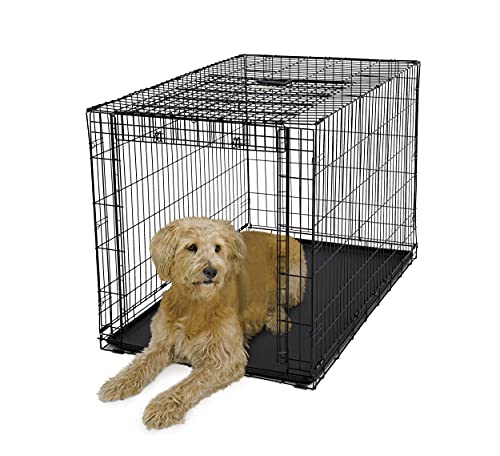 MidWest Homes for Pets Ovation Single Door Dog Crate, 42-Inch