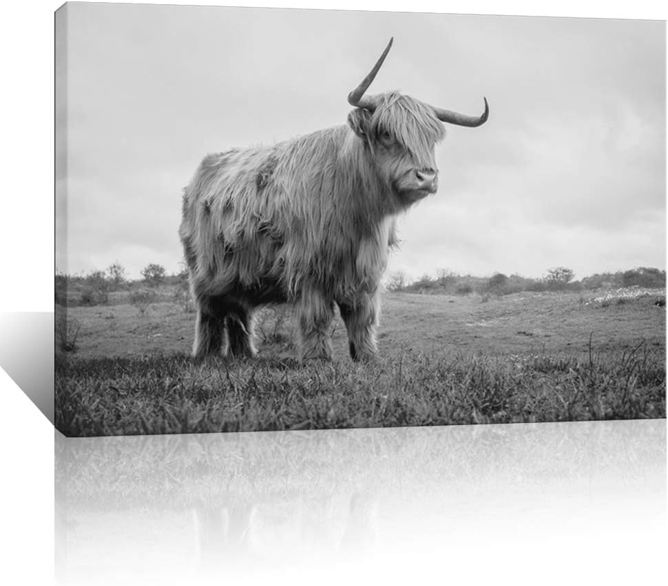 Artsbay Black and White Animal Canvas Wall Art Highland Cow Pictures Wall Decor Long Horn Cattle Wall Painting Prints Contemporary Artwork for Office Bedroom Framed