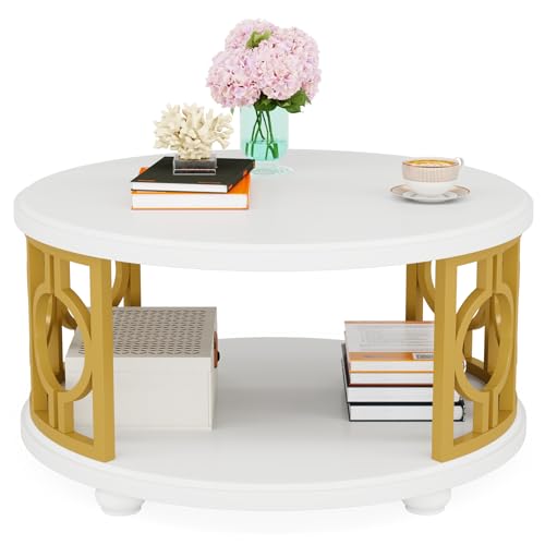 2-Tier Coffee Table, Modern Round Center Table with Storage Shelf for Living Room