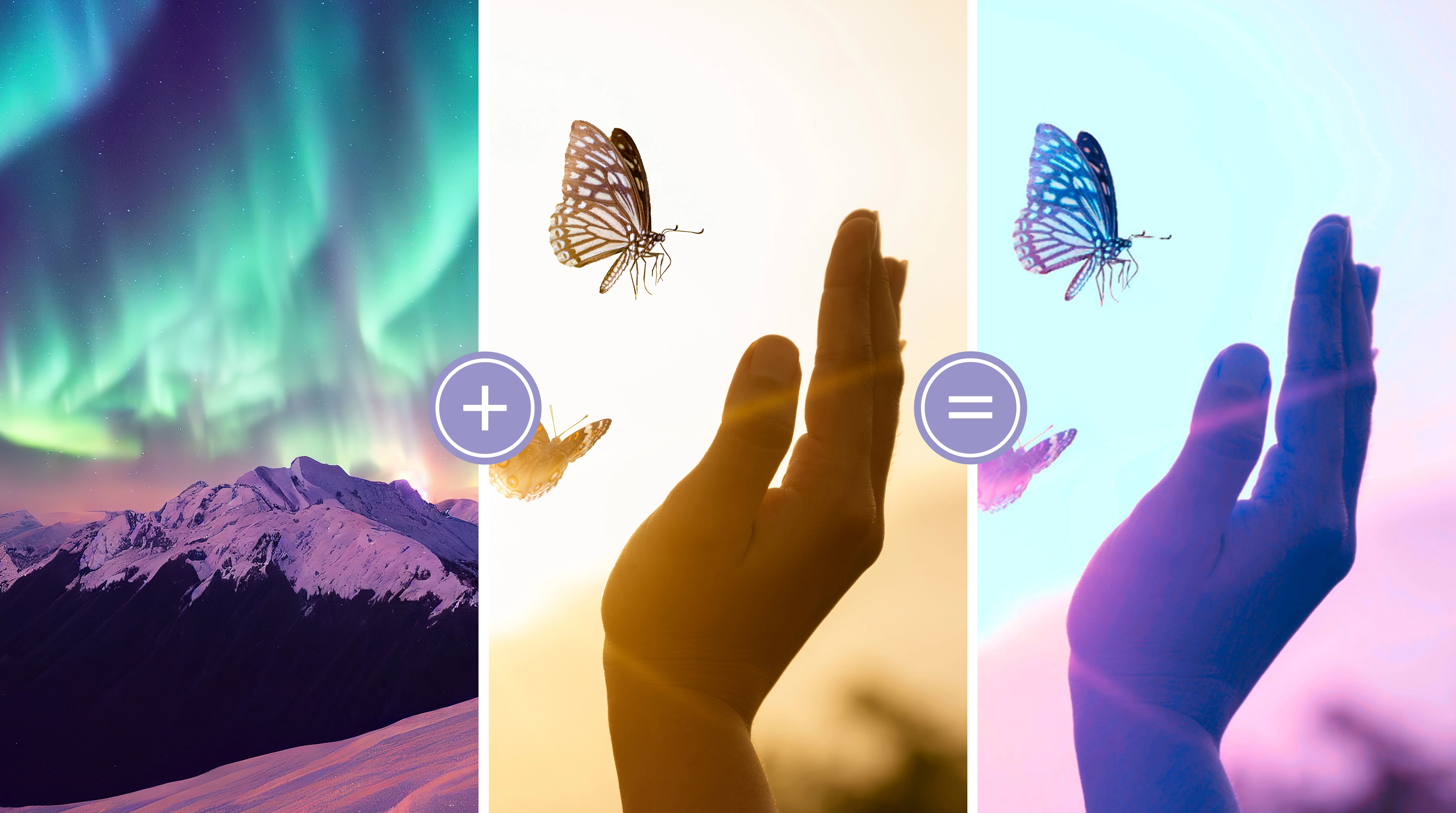 Adobe - Photoshop Elements 2024 & Premiere Elements 2024 - Windows [Digital Download]