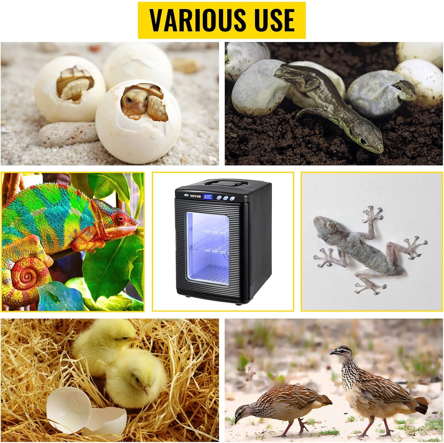 VEVOR Egg Incubator and Hatcher 25L Black Reptile Egg Incubator 5-60°C Scientific Hatcher Heating Bright LED Digital Display for Small Animals