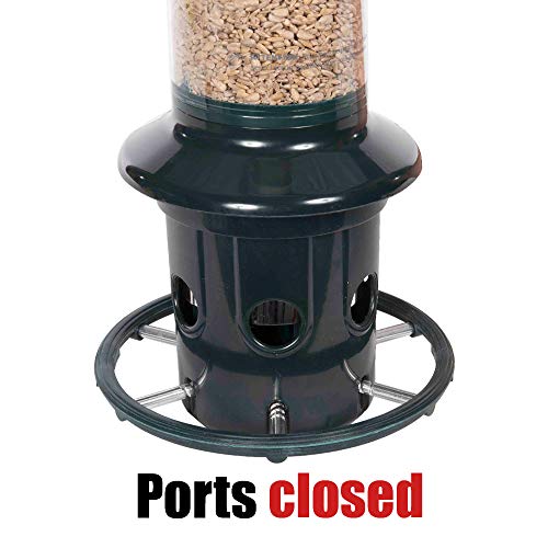 Squirrel Buster Plus Squirrel-proof Bird Feeder w/Cardinal Ring and 6 Feeding Ports, 5.1-pound Seed Capacity, Adjustable, Pole-mountable (POLE ADAPTOR SOLD SEPARATELY), Green