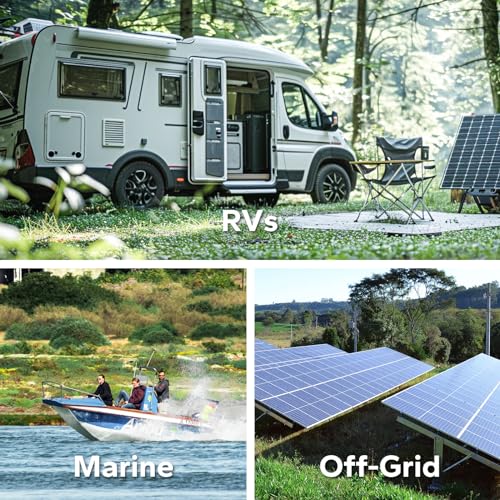 LiTime 12V 100Ah LiFePO4 Battery BCI Group 31 Lithium Battery Built-in 100A BMS, Up to 15000 Deep Cycles, Perfect for RV, Marine, Home Energy Storage