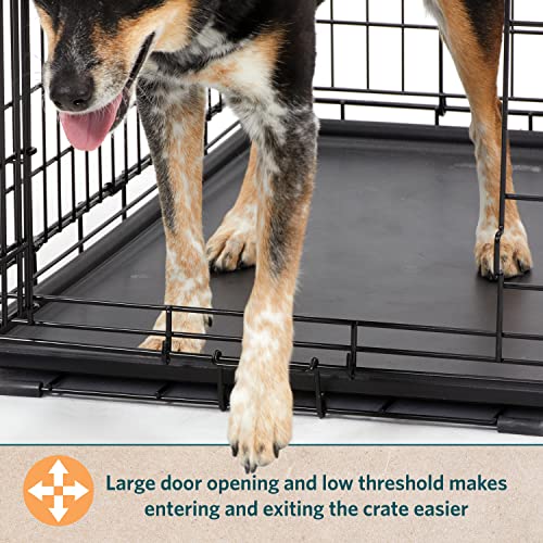 MidWest Homes for Pets XL Dog Crate | MidWest Life Stages Folding Metal Crate | Divider Panel, Floor Protecting Feet, Leak-Proof Pan | 48L x 30W x 33H Inches, XL Dog Breed