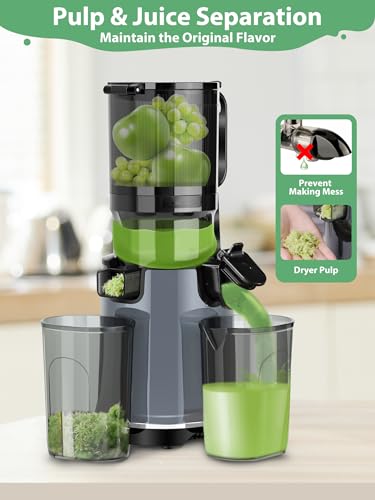 Aeitto Juicer Machines,Masticating Juicer with 5.3" Wide Mouth,250W Whole Fruit Juicer,1.7L Large Capacity Juice Maker for Vegetable and Fruit, Easy to Clean with Brush, High Juice Yield,Black