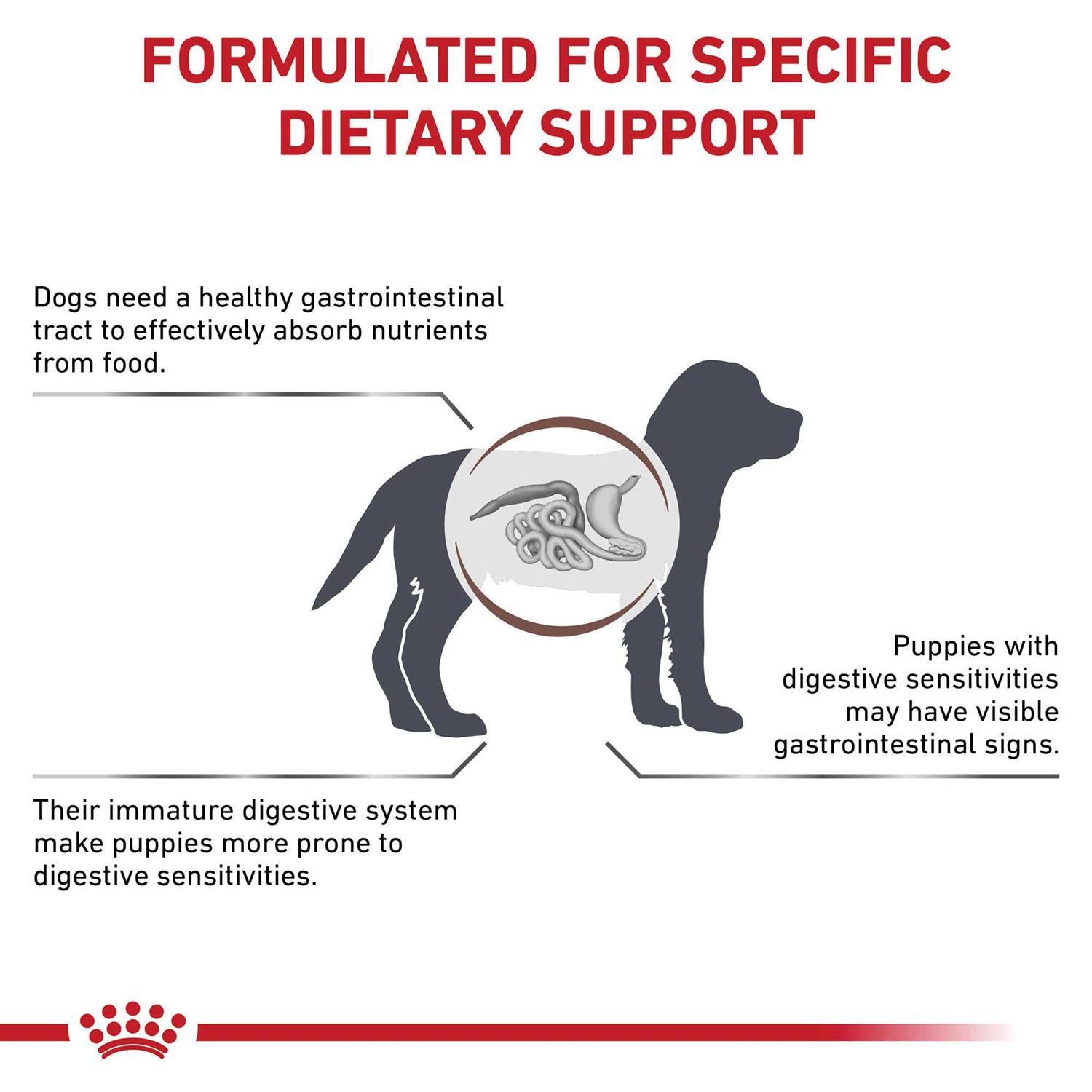 Royal Canin Veterinary Diet Gastrointestinal Puppy Dry Dog Food - Pet Supplies online store