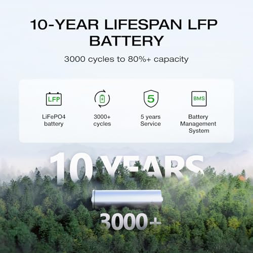 EF ECOFLOW Solar Generator DELTA2 with 220W Solar Panel, LFP(LiFePO4) Battery, Fast Charging, Portable Power Station for Home Backup Power, Camping & RVs
