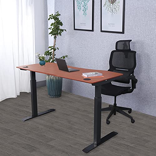 ApexDesk Elite Pro Series 71" x 33" Electric Height Adjustable Stand up Desk, Sit Stand Home Office Desk, Computer Desk - Curved Grey Top/Black Frame