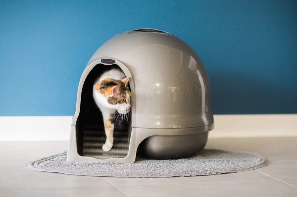 Petmate Booda Clean Step Cat Litter Box Dome (Made in the USA with 95% Recycled Materials)- Brushed Nickel, Made in USA