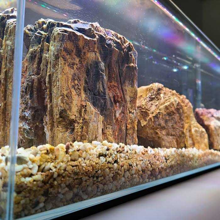 Lifegard Aquatics Crystal Bookshelf Aquarium - Pet Supplies online store