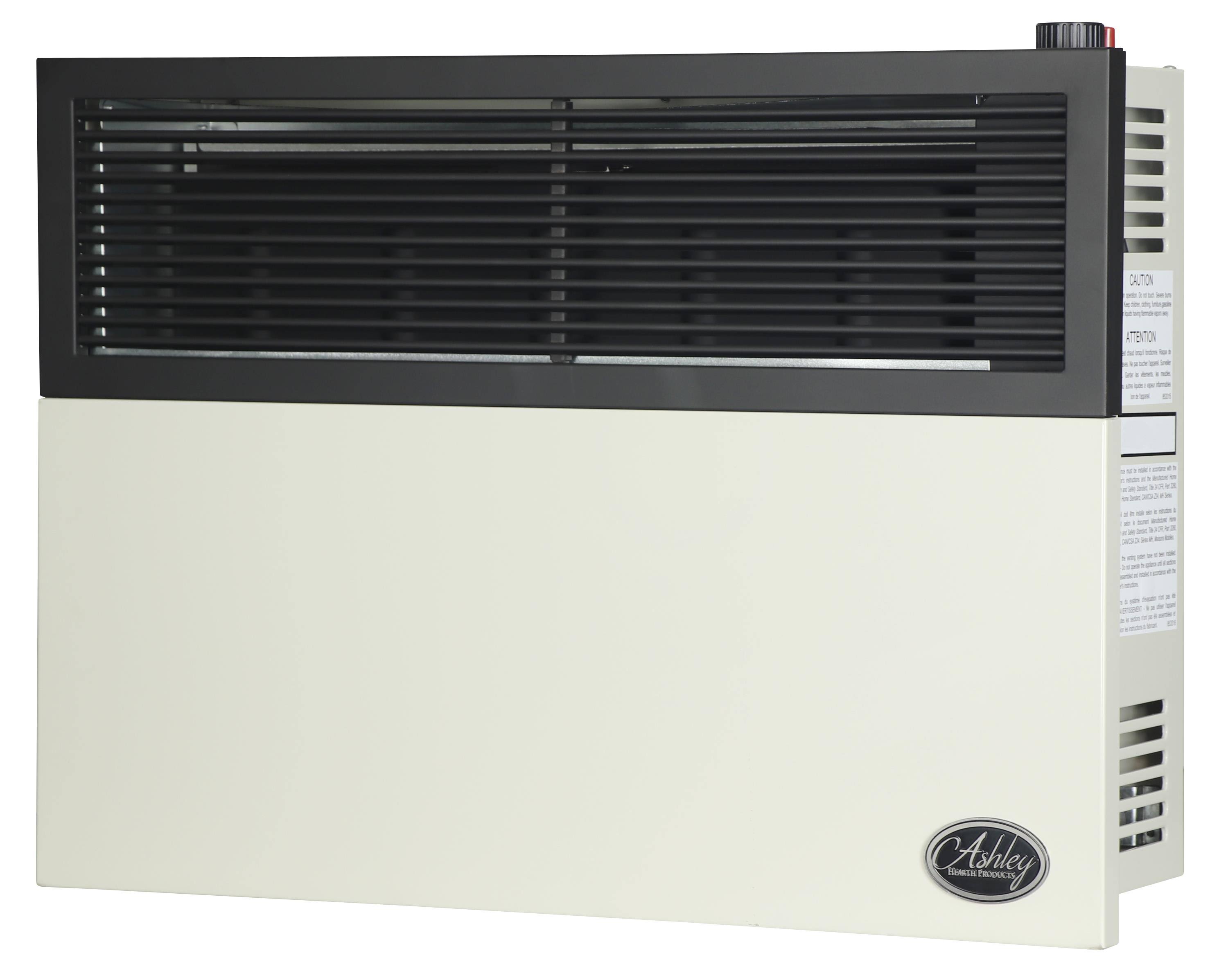 Ashley Hearth Products - 17,000 BTU Direct Vent Natural GAS Heater