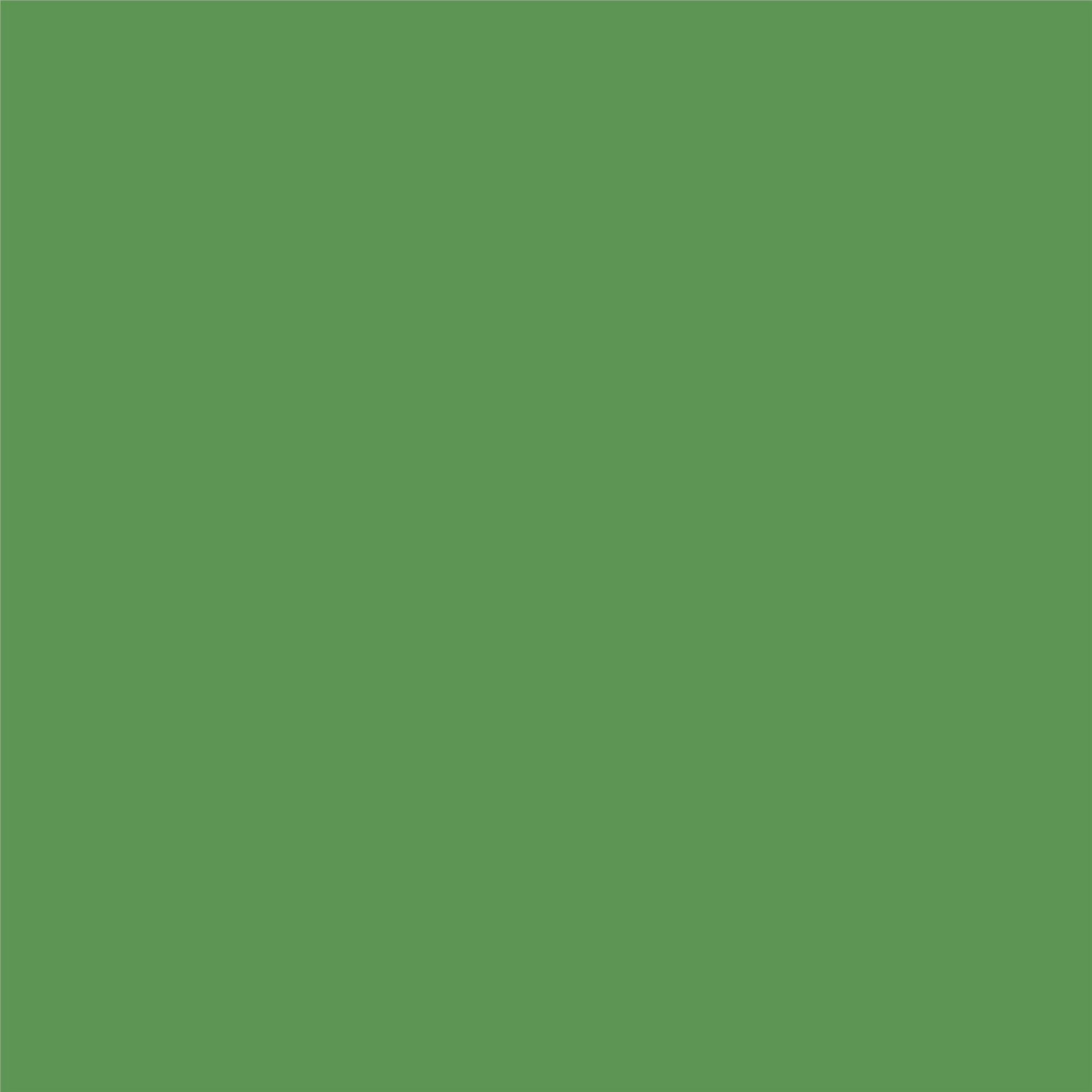 Novogratz Channing 2 Door Accent Cabinet-Mesh Metal Locker, Kelly Green