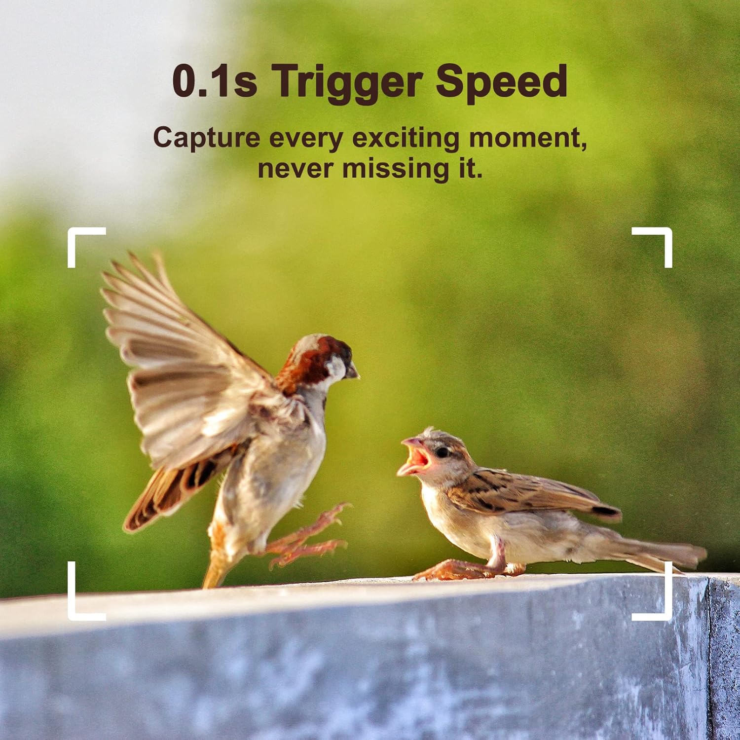 4K 32MP Trail Camera, 0.1s Trigger Motion Activated Game Hunting Camera with Night Vision 80ft No Glow Infrared, IP66 Waterproof Deer Wildlife Monitor Trail Cam, 120&deg; Wide View