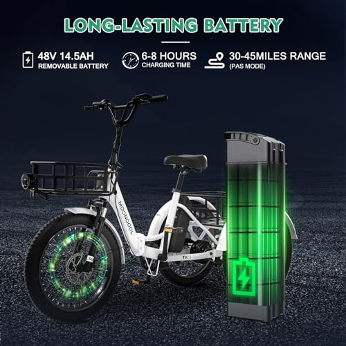 LILYPELLE Electric Trike for Adults, 500W Folding Electric Tricycle Electric Trike, 3 Wheel Electric Bicycle Motorized Three Wheel Ebike with Large Basket for Women Men