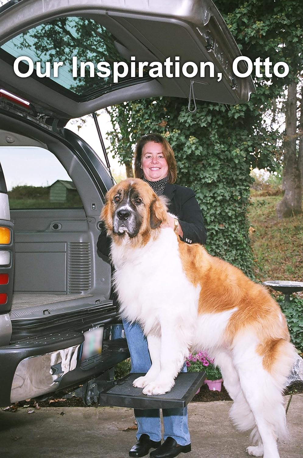 Otto Step Pet Ramp Step Helps Dogs Get in & Out of Car Van SUV | Portable Lightweight Dog Ramp | Simply Slide into 2” Trailer Hitch | No Tools Needed | Big & Small Dogs | Essential Pet Gear