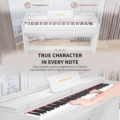 88 Key Fully Weighted Digital Piano Keyboard, 88 Keys Hammer Action Electric Pianos, Wooden Classic Upright Electronic Piano for Beginner, Professional, Midi Compatible, Triple Pedal (Black)