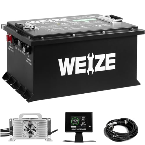 Weize 12V 100Ah TM LiFePO4 Lithium Battery, Built-in Smart BMS, Group 31 Deep Cycle Battery Perfect for Trolling Motor, RV, Solar, Marine, Overland/Van, and Off Grid Applications