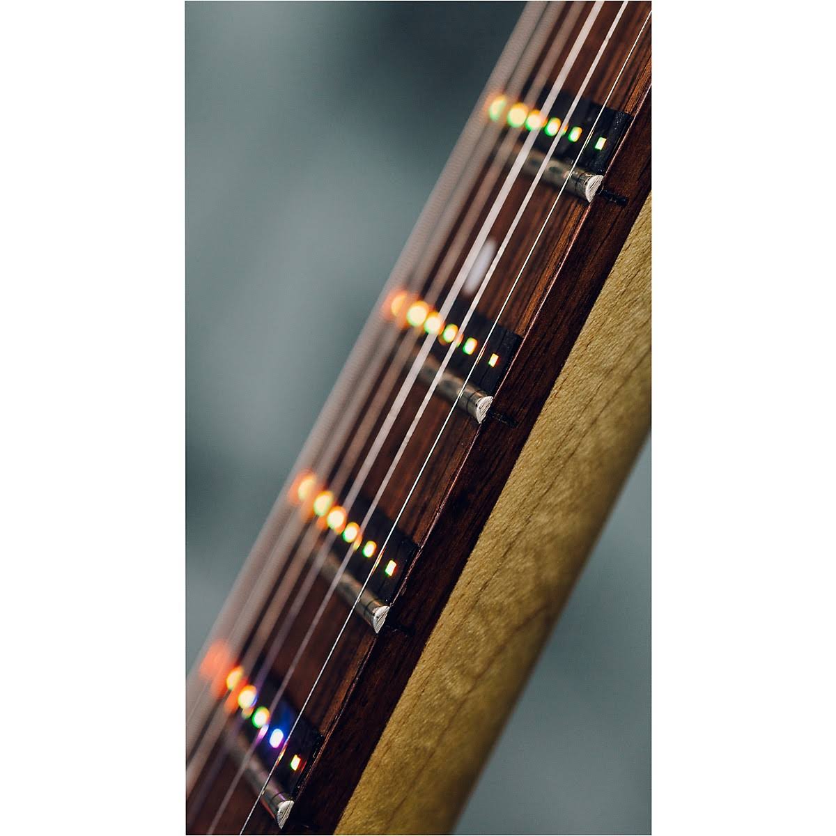 Fret Zealot LED Guitar Instruction 24.75x22 Scale Length