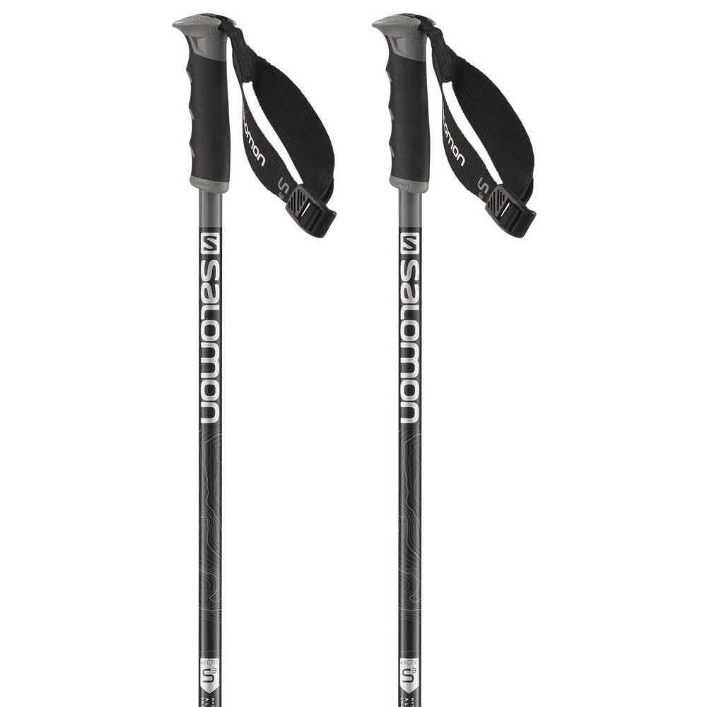 Salomon Arctic S3 Ski Poles