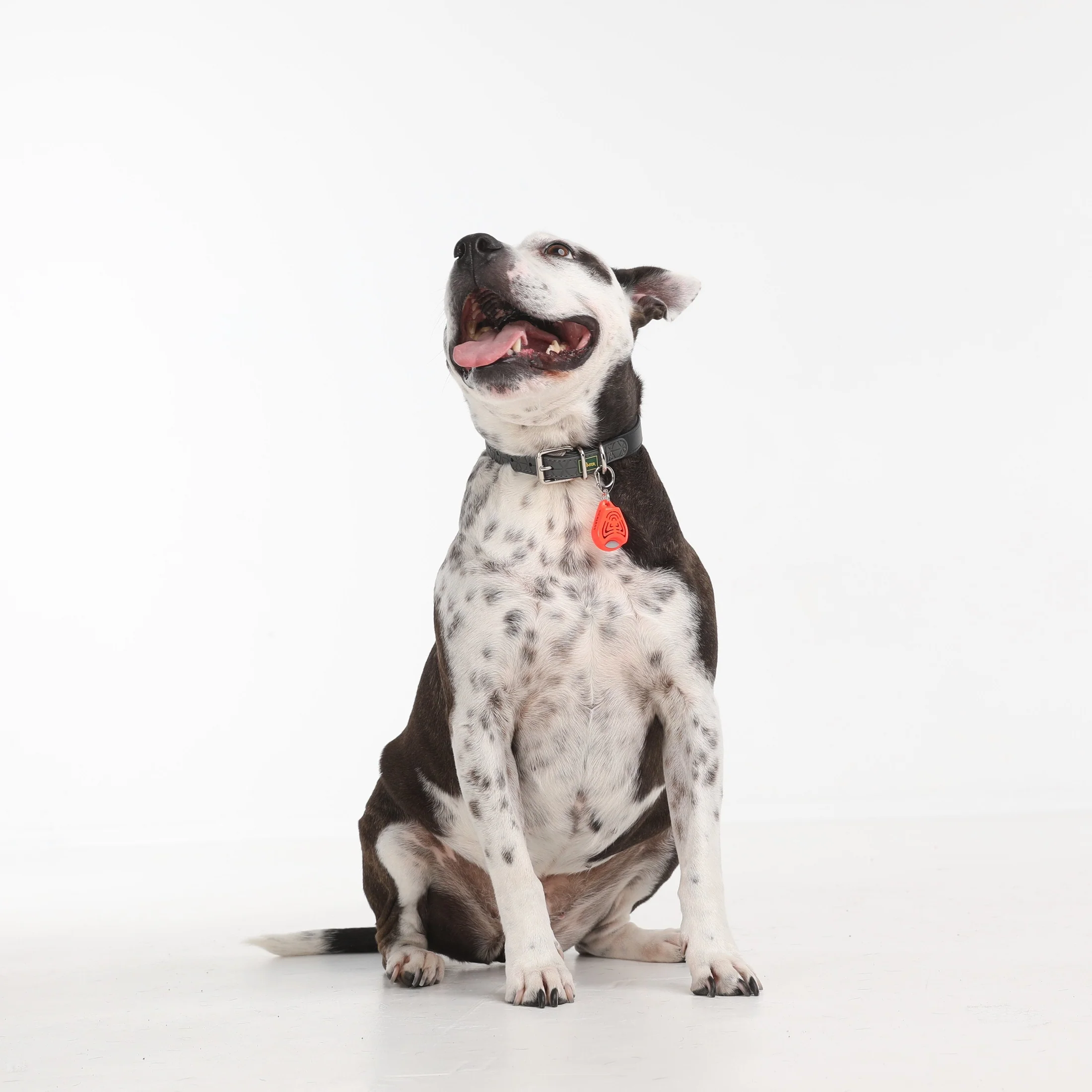 Tickless Pet - Chemical Free, Ultrasonic, Natural Flea & Tick Repellent for All Dog Sizes- Pink