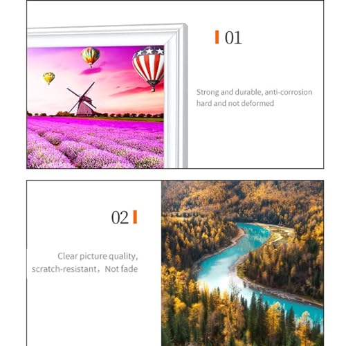800W Graphene Electric Heater Wall Mounted Energy-Saving Radiator Wall-Mounted Electric Heating Plate with Overheating Protection for Indoor Domestic Living Room Bedroom Bathroom