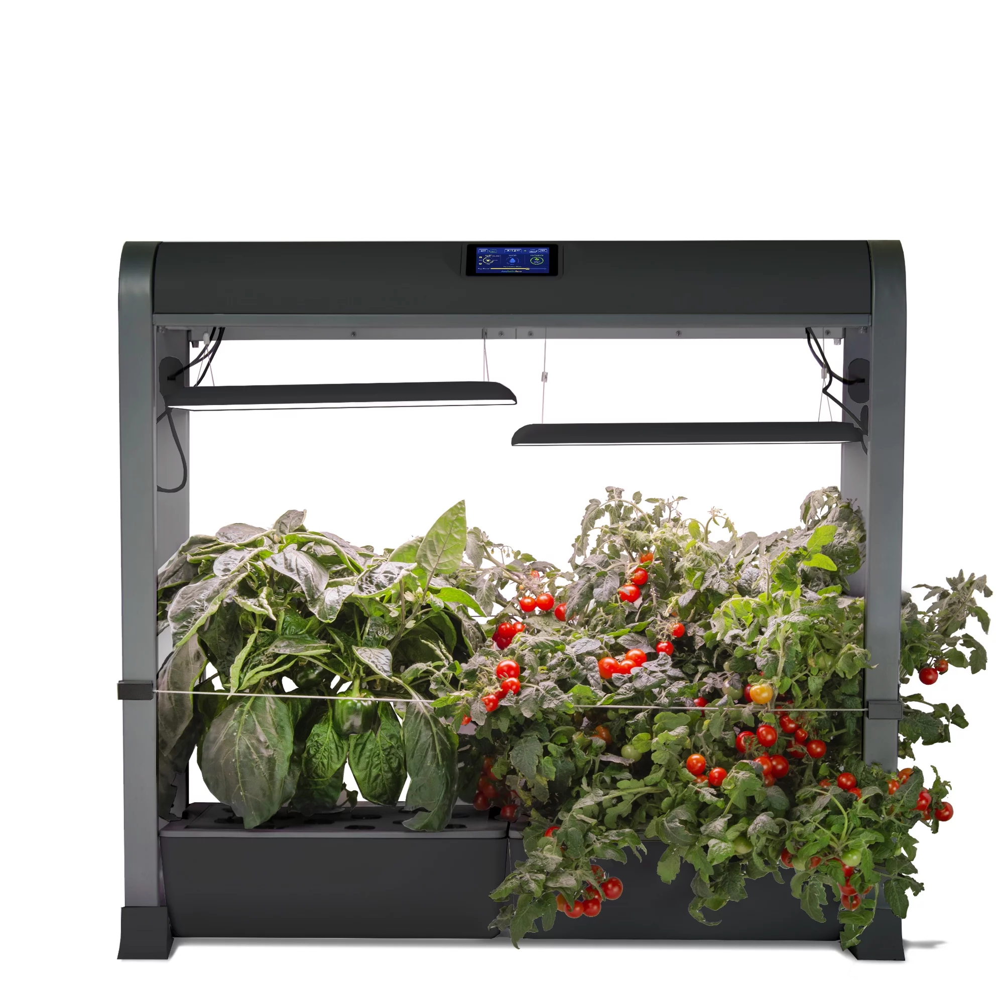 AeroGarden Farm 24Plus with Salad Bar Seed Pod Kit, Black - Curated Treasures Market