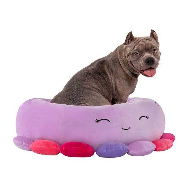 Squishmallows Beula The Octopus Pet Bed - Pet Supplies online store