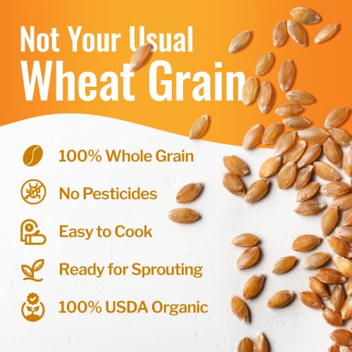 Grand Teton - 100% Organic Hard White Wheat Berries | US-Grown Wheat Berries Bulk | Packaged in 6 Gallon HDPE Pail for Long-Term Storage | 100% Desiccant Free | Certified 100% USDA Organic - 43 lbs
