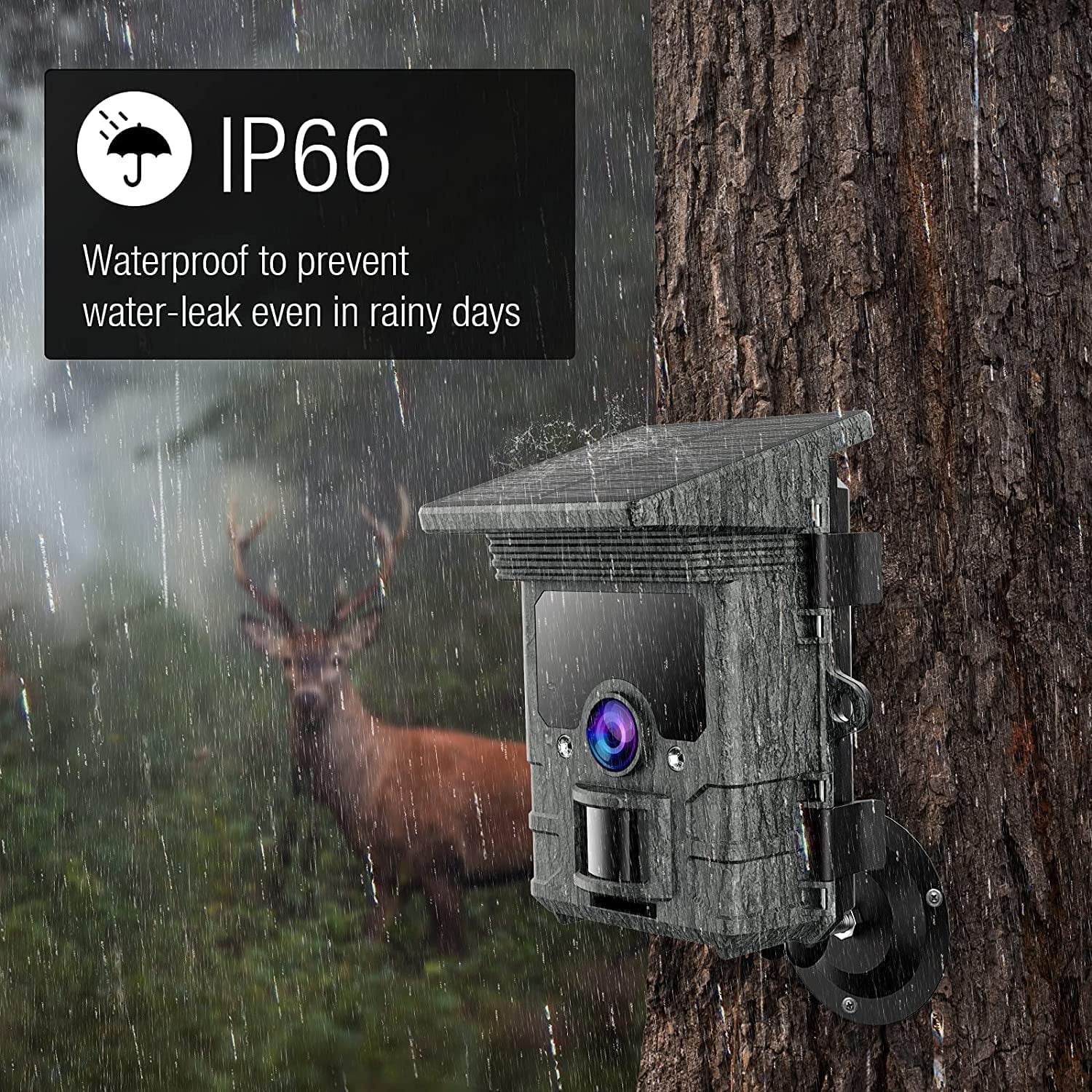 CAMPARK Solar WiFi Trail Camera Native 4K 30fps 46MP Bluetooth Game Camera with Night Vision Loop Recording Waterproof IP66 120° Motion Activated Hunting Trail Cam for Wildlife Monitoring