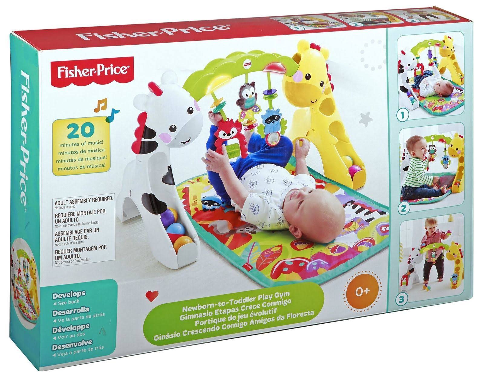 Fisher-Price Newborn-to-Toddler Play Gym