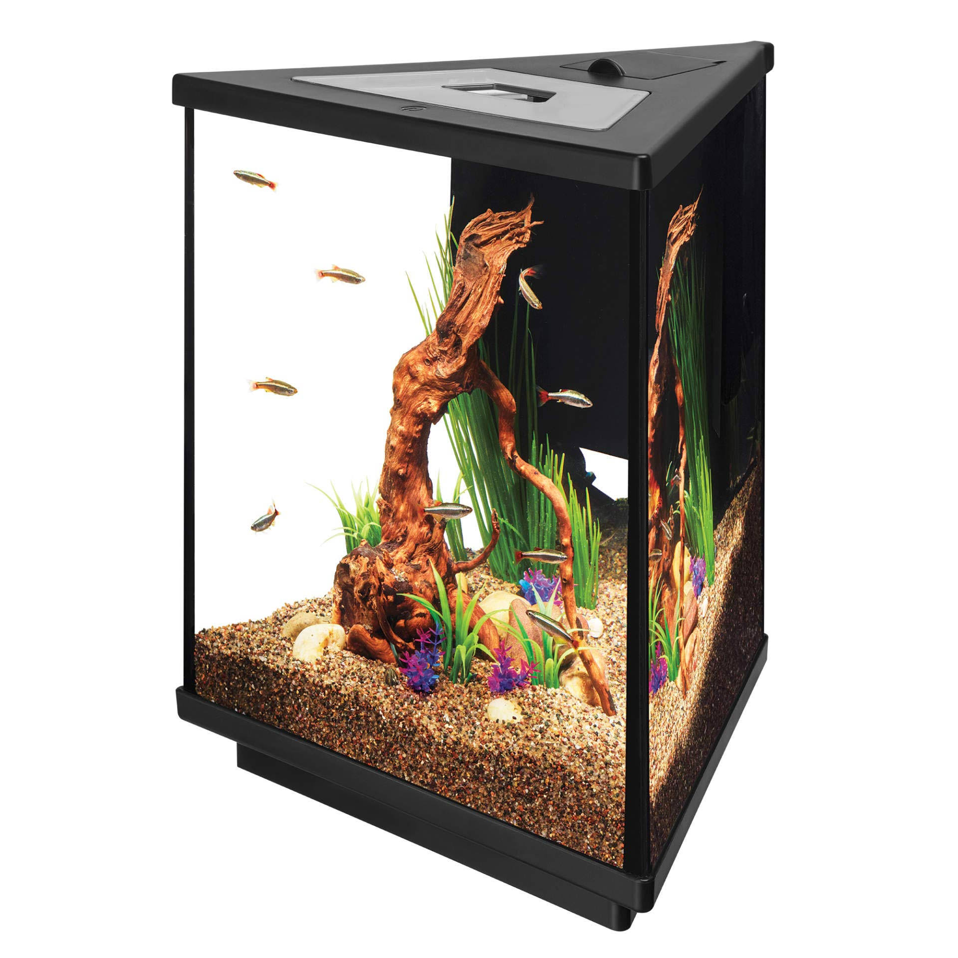 Aqueon LED Tri-scape Aquarium Starter Kit, 3-Gal