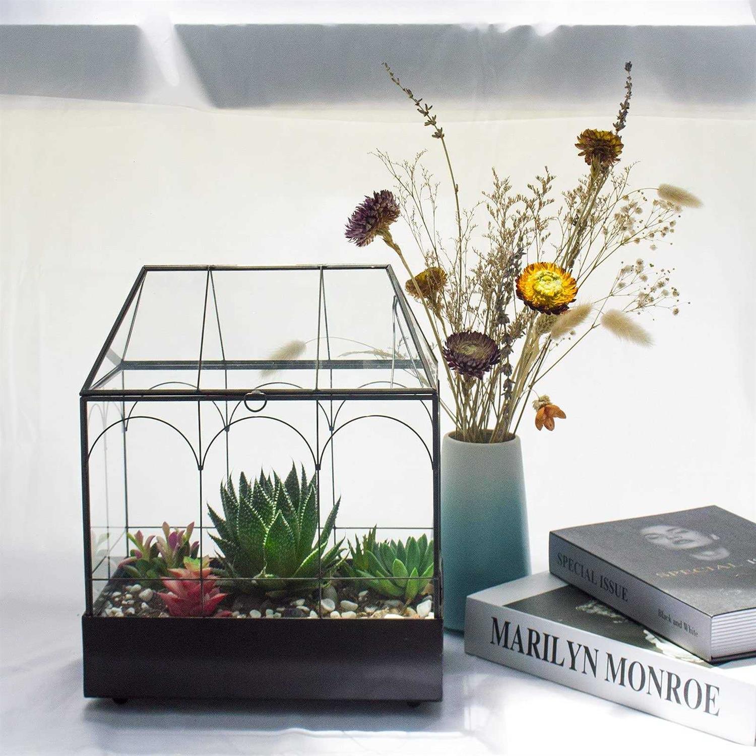 YIMORENcE V Large Tall glass Plant Terrarium – House Succulent Terrarium Kit with Lip and Tray - Pet Supplies online store