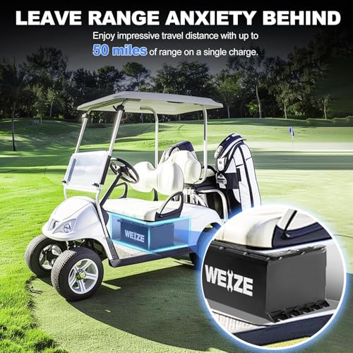 Weize 12V 100Ah TM LiFePO4 Lithium Battery, Built-in Smart BMS, Group 31 Deep Cycle Battery Perfect for Trolling Motor, RV, Solar, Marine, Overland/Van, and Off Grid Applications