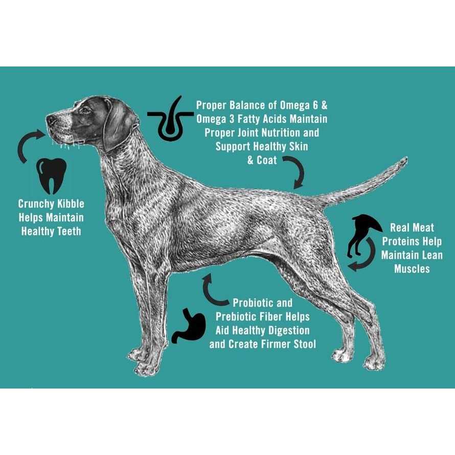Chicken Soup for the Soul Adult Dry Dog Food - Pet Supplies online store