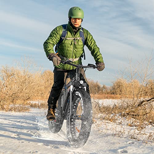Vivi Electric Bike 26" x 4.0 Fat Tire Electric Bicycle, Peak 1000W Electric Mountain Bike, 25MPH Ebikes for Adults with 48V 13AH Removable Lithium-Ion Battery, Up to 60 Miles,UL 2849 Certified