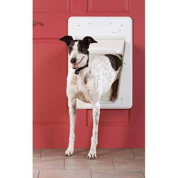 PetSafe Electronic SmartDoor, Automatic Dog and Cat DOOR, Large, Collar Activated with SmartKey