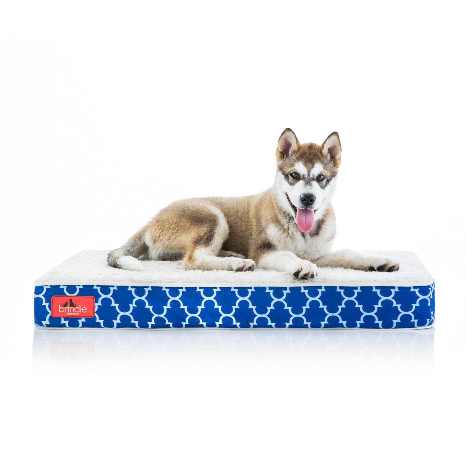 Brindle Waterproof Designer Memory Foam Pet Bed - Pet Supplies online store