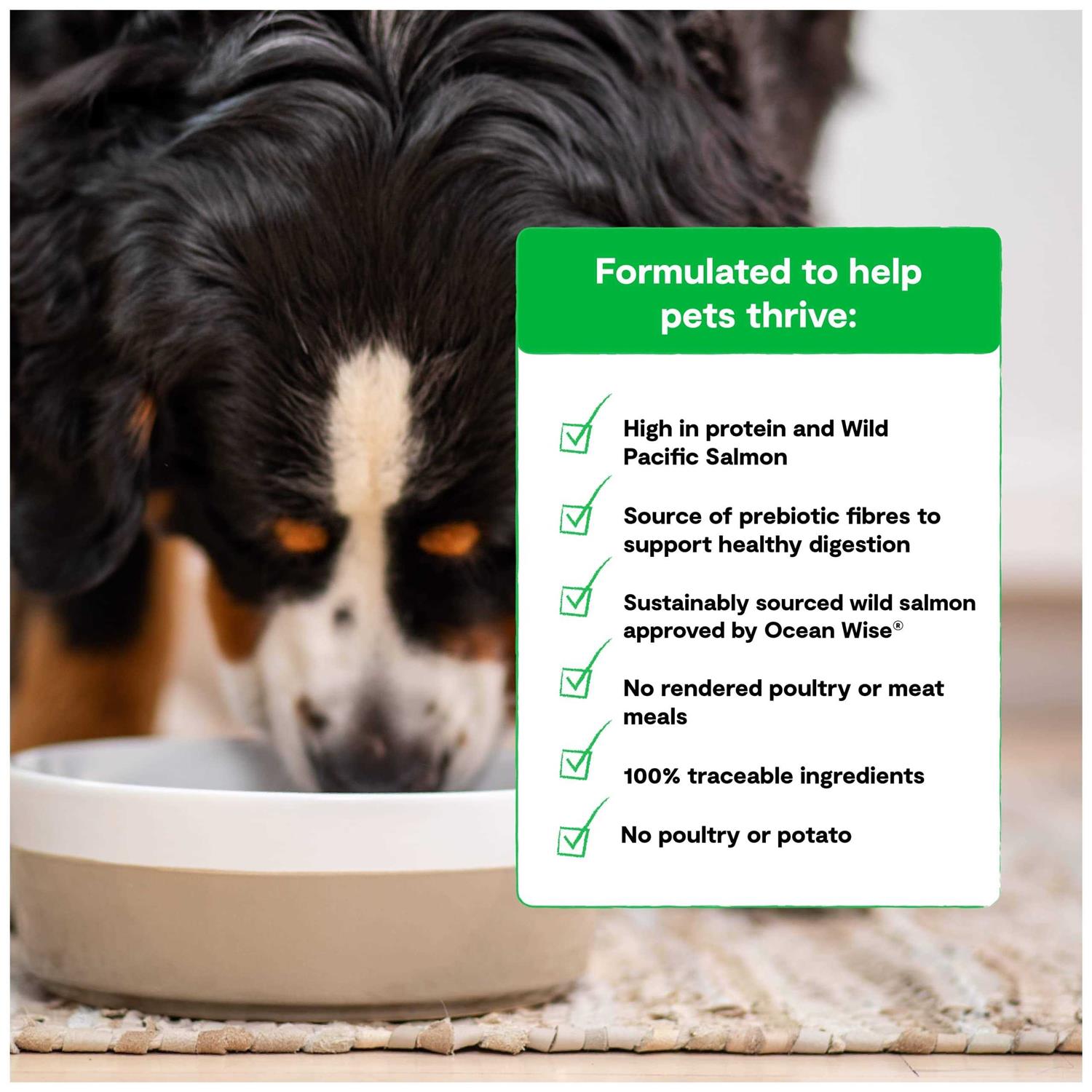 Open Farm Grain-Free Wild-Caught Salmon Dry Dog Food - Pet Supplies online store