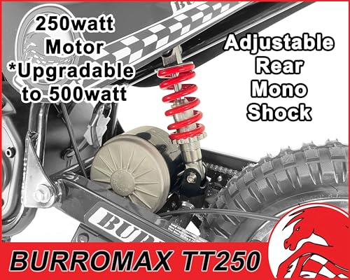 Burromax TT250 Electric Dirt Bike for Kids, 250w 24v 7ah, 2 Speeds, 14 Mph, Up to 150lb Rider, Off-Road Electric Mini Bike