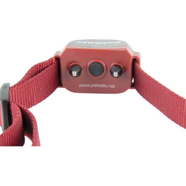 PetSafe Stay Play Wireless Fence for Stubborn Dogs - Pet Supplies online store