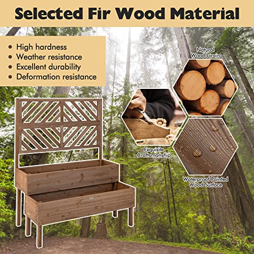 Giantex Raised Garden Bed with Trellis, 2-Tier Wooden Planter Box with Legs and Drain Holes, Garden Trellis for Vine Fruit Vegetable Flower Herb, Outdoor Elevated Garden Bed (Brown)