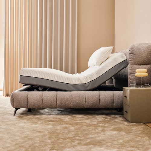 Electric Adjustable Bed Frame, Twin XL Size Adjustable Bed Base with Wireless Remote, Head and Foot Incline, Premium Quiet Motor, Zero Gravity