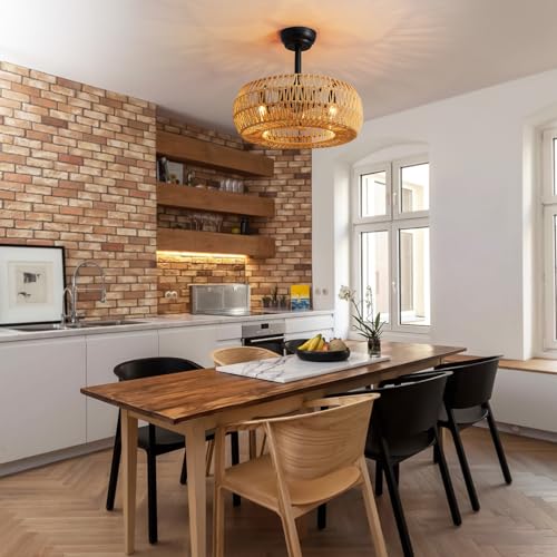 20" Farmhouse Caged Ceiling Fan with Lights Remote Control, Cage Low Profile Bladeless Ceiling Fan, Boho Ceiling Fans with Light for Kitchen, Bedroom, Dining Room