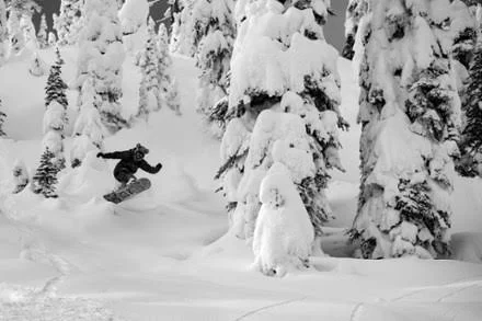 Lib Tech Cold Brew Snowboard