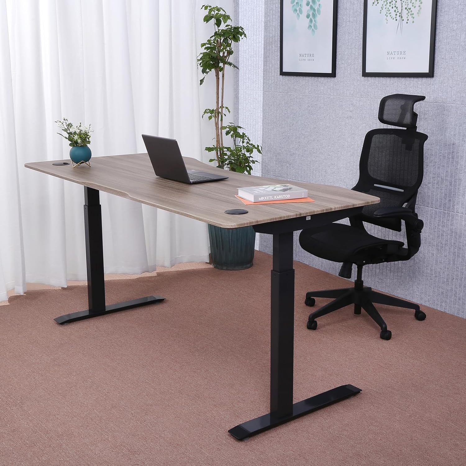 ApexDesk Elite Pro Series 71" x 33" Electric Height Adjustable Stand up Desk, Sit Stand Home Office Desk, Computer Desk - Curved Teak Top/Black Frame
