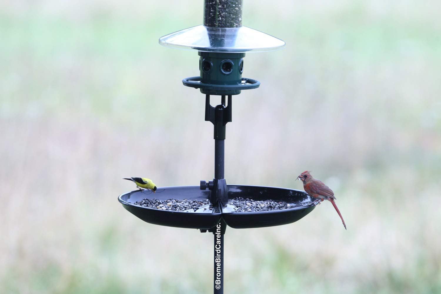 Seed Catcher Tray for Wild Bird Feeders, fits only 1-INCH STRAIGHT BIRDING pole (outside diameter), pole and feeder NOT included Pack of 2