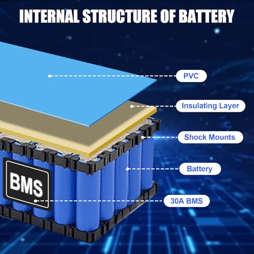36V Ebike Battery 10Ah Lithium Battery Electric Bike Battery Replacement for 200-1000W Electric Bike Bicycle Scooter Motor with 2A Fast Charger, T-Plug, and 30A BMS (36V 10Ah with charger kit)