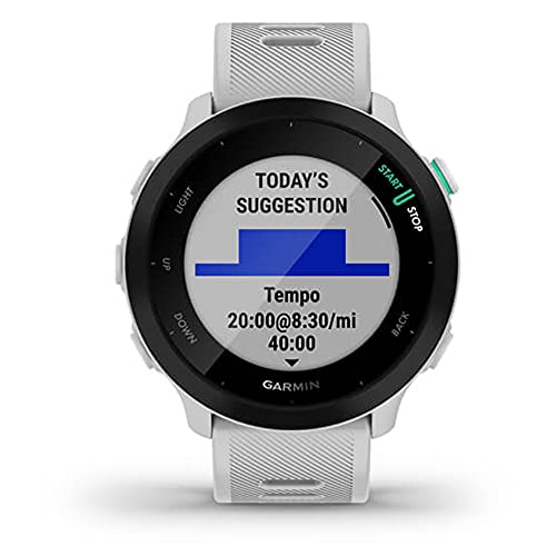 Garmin Forerunner 55 GPS Running Watch (Black) with 2-Pack Screen Protector Bundle