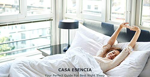 CASA ESENCIA 100% Egyptian Cotton Sheets King Size – 1000 Thread Count White Striped King Bed Sheet – 4 Piece Bedding Set - Extra Deep Pocket Fits Upto 17” – White Stripe Hotel Luxury Sheets