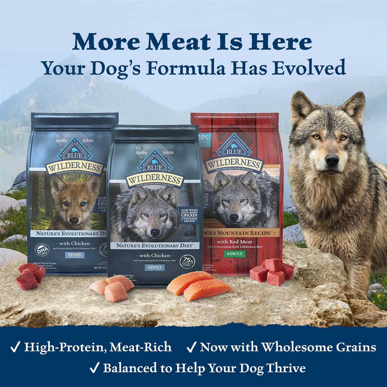 Blue Buffalo Wilderness Dog Food - Pet Supplies online store